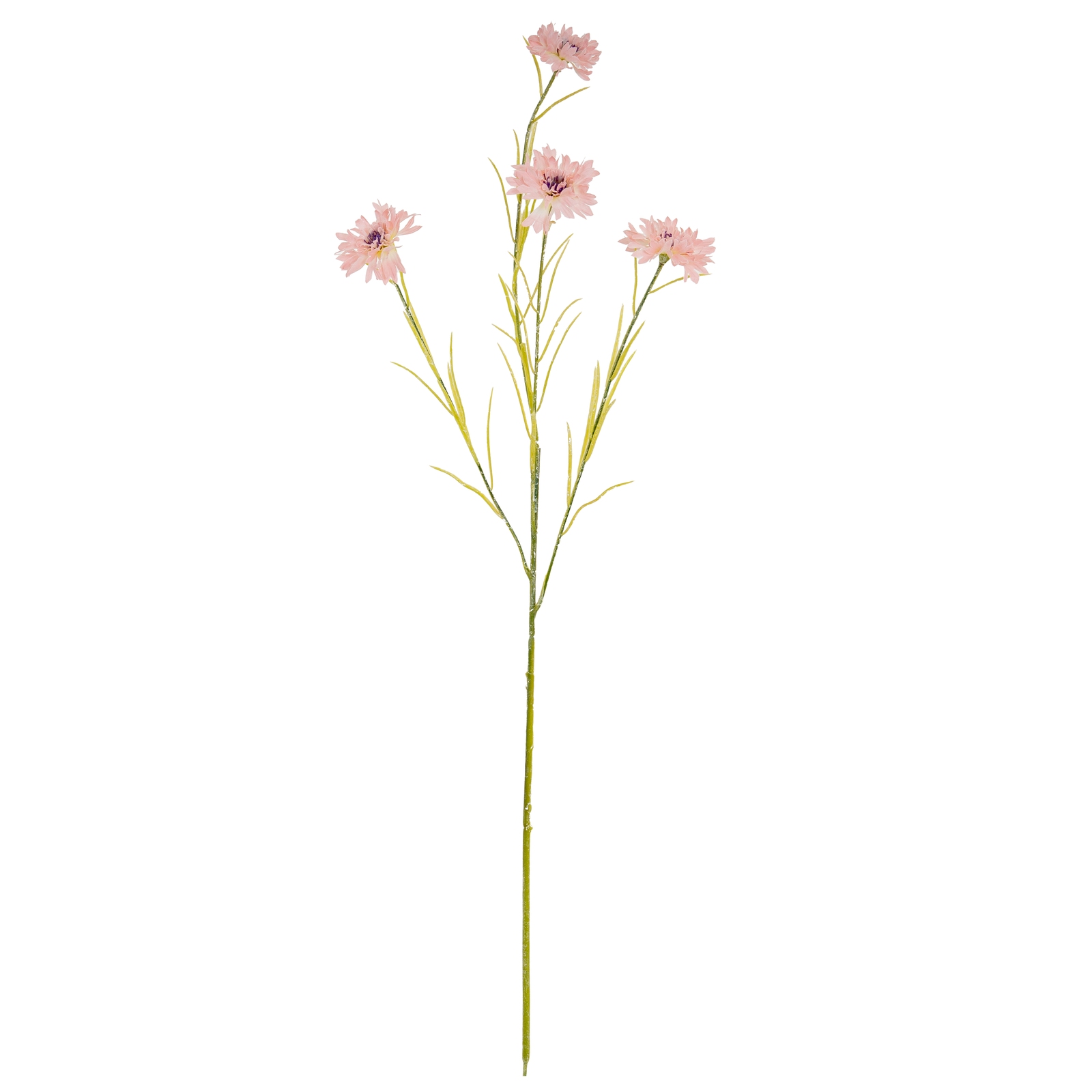 Pink Cornflower Stem - Image 2